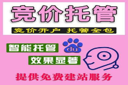 行业领先企业的sem竞价托管代运营策略